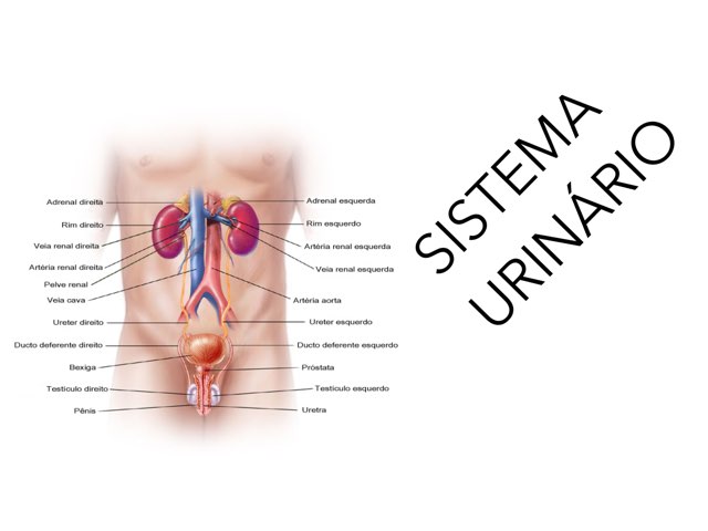 5T URINÁRIO  by Maja Malena Garcia Callegari