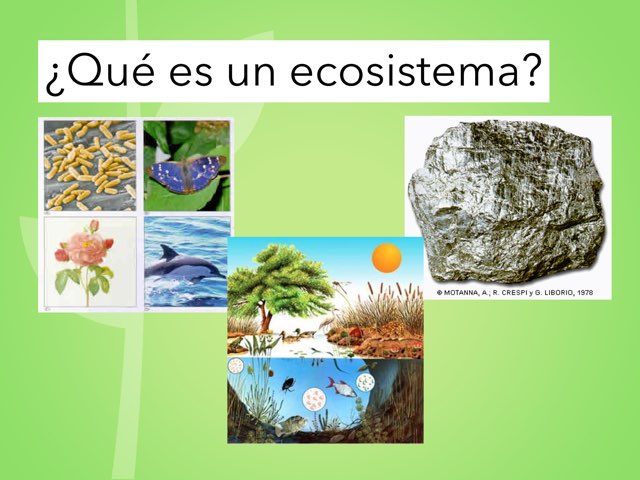 Los Ecosistemas Vimase by CRA LAS CAÑADAS Aguilafuente