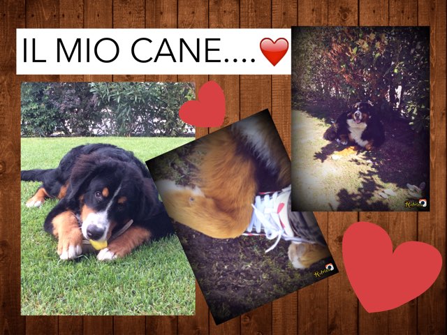 Balù by marti_ mare