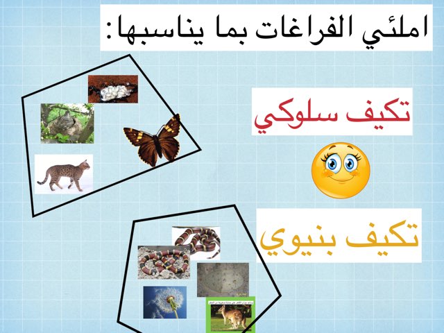 تقويم١ by Ahmad ahmad