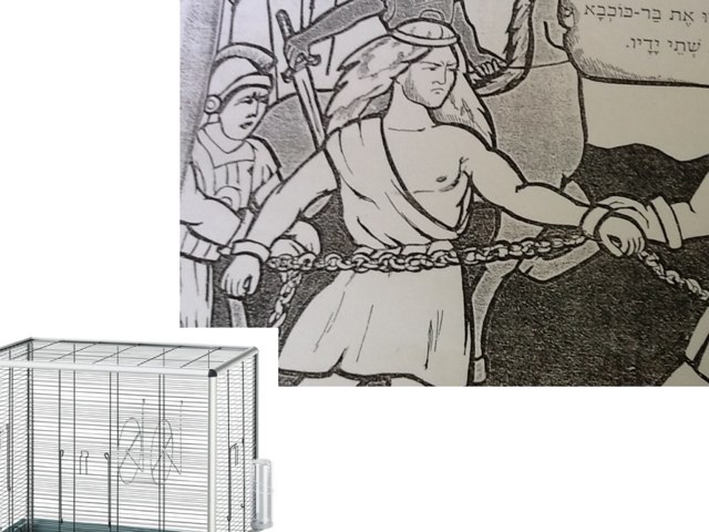 בר כוכבא והאריה by ורדה לביא