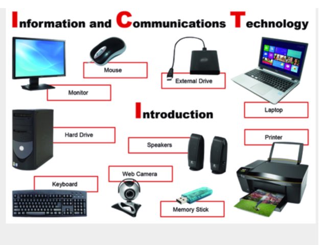 Técnico by Janet Robles