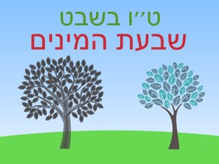 ט"ו בשבט by שרה הופמן