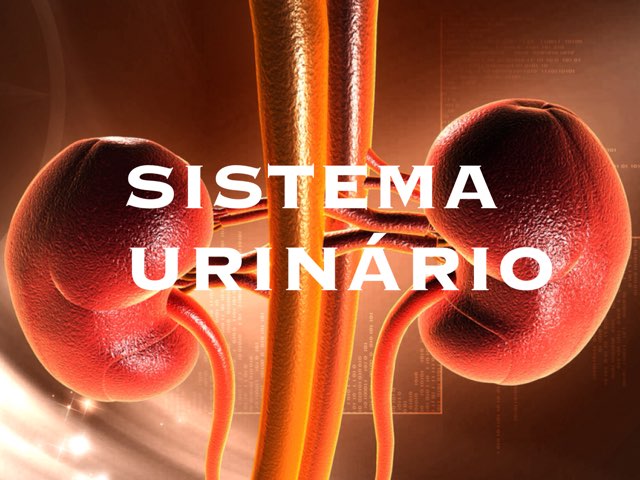 5A URINÁRIO  by Maja Malena Garcia Callegari