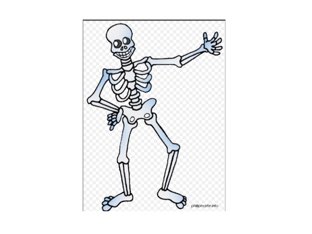 מפרקים בגוף האדם by Rotem moyal