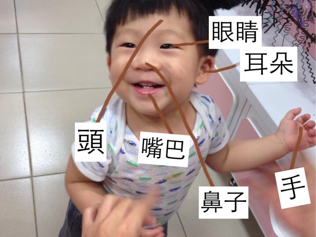 認識身體五官 Knowing Body Parts by Anne Wu