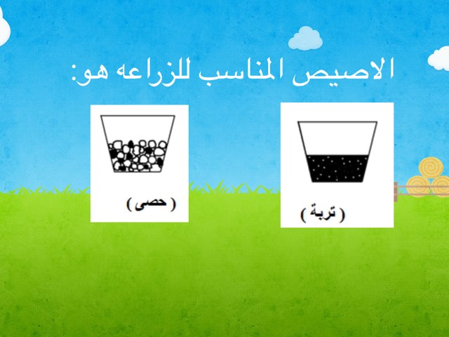 ماذا يحتاج النبات by abla ohoud