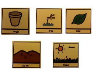 משחק 8 by מיכל ראובן