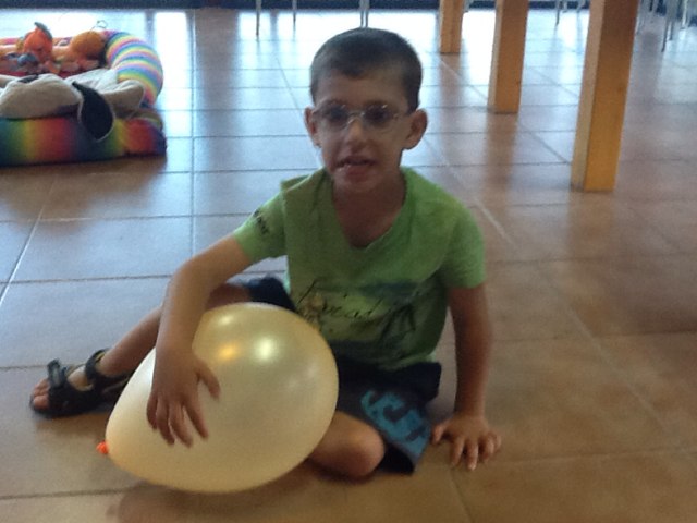 פאזל של שחק by ורדה לביא