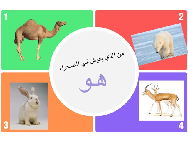 لعبة 81 by Alaa Hussain