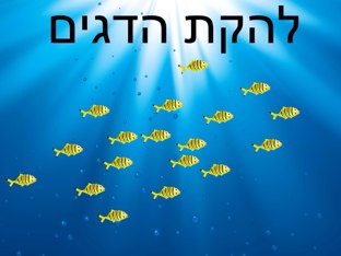 להקת הדגים by Noa  Nitzan