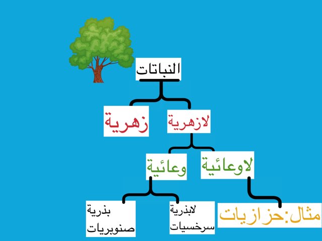 لعبة ٣ by Ahmad ahmad