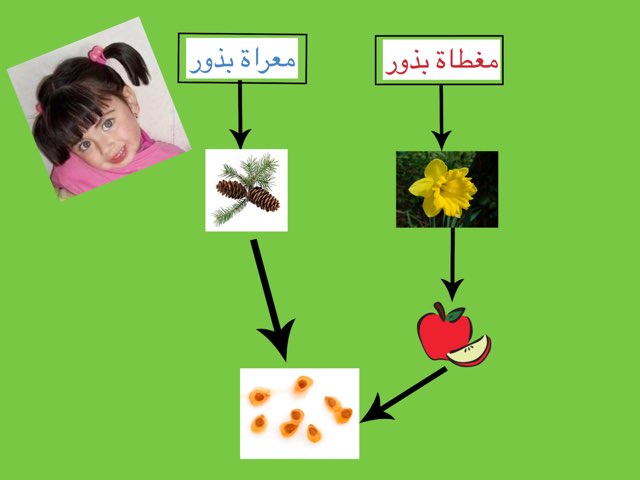 لعبة 296 by Ahmad ahmad