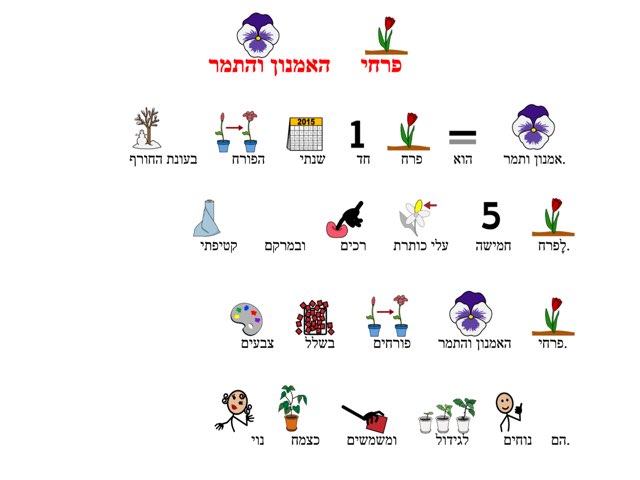 משחק 83 by Hadas diamond