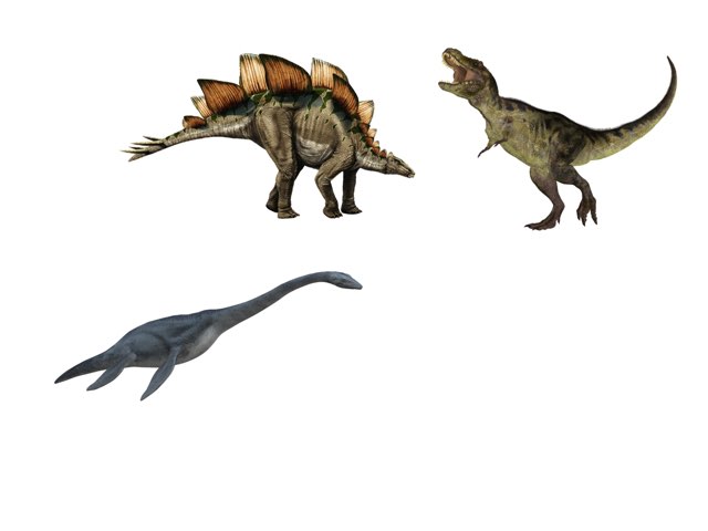 選選看 by Kai-Ho Chan