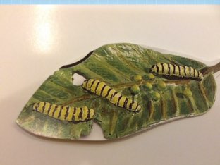 دورة حياة الفراشة by Wala2 fahad