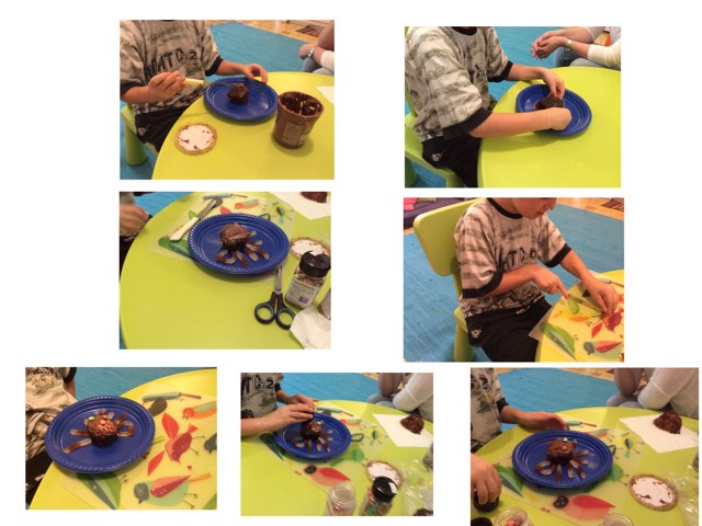 האריה של דוידה by כרמל פרידמן