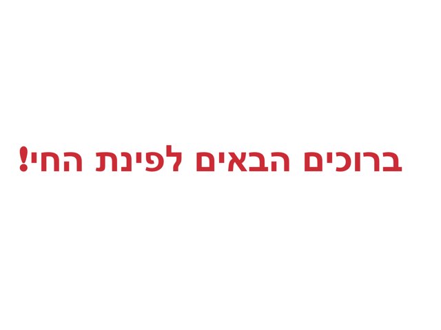 ברוכים הבאים לפינת החי by ליאת ויזל