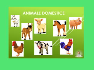 Unde este animalul? by Alee
