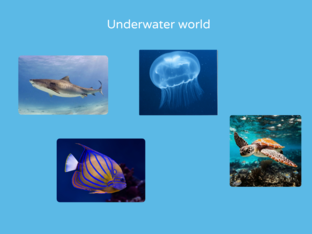 Underwater world by Mi Oput