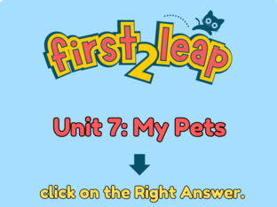 Unit 7: My Pets by Leap LTC School