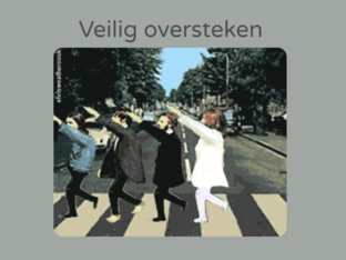 Veilig oversteken by Marie Nauwelaerts