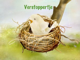 Verstoppertje by Anita Dieren