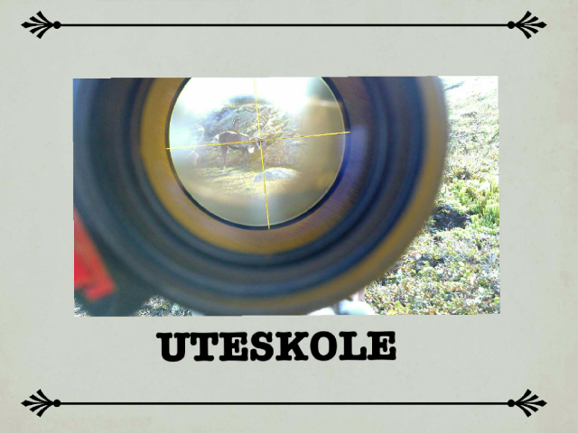 Villrein by Helge Storli