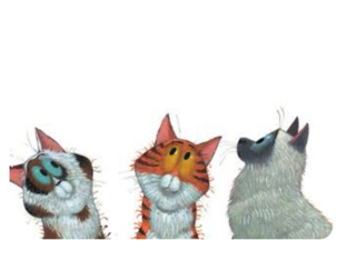 Vlinders tellen met Harry by Djéla