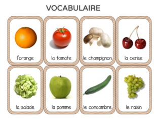 Vocabulaire et Phonologie 1 by UPE2A Prades