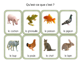 Vocabulaire et Phonologie 3 by UPE2A Prades