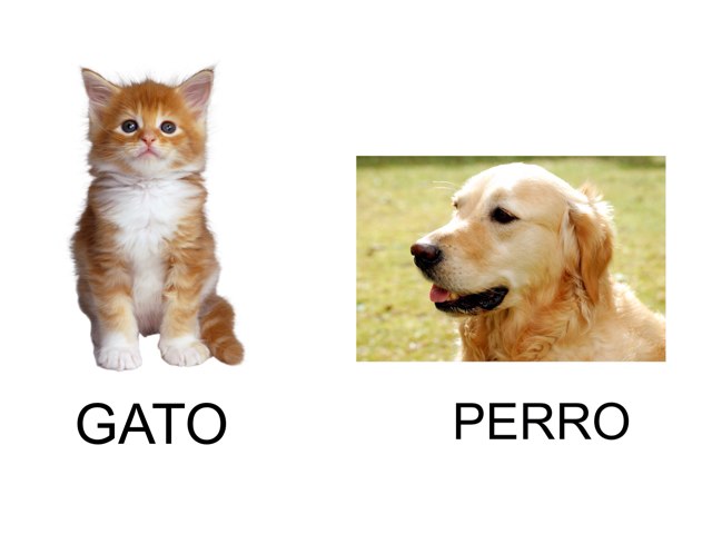 Vocabulario Cotidiano by Xu Gil