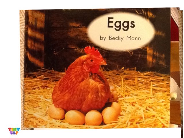 Vocabulary Game LLI Lesson 8 Green Series by margaret rafle