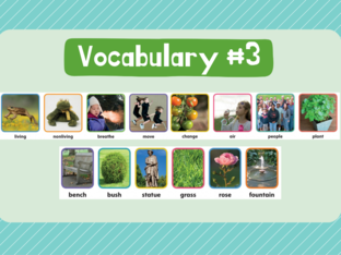 Vocabulary #3 by Miss Pámmella Durán