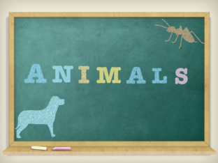 Vocabulary : Animals by Citlalli Espinosa