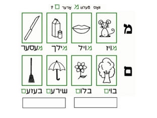 WHICH LETTER IS MISSING THE MEM OR THE FINAL MEM?  by Nesh Goldgrub
