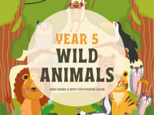 WILD ANIMALS by anis zaidi