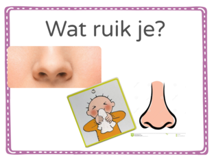 Wat ruik je?   by Julia Kikkert