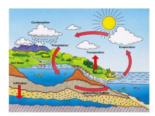 Water Cycle by Meghan Baldwin
