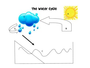 Water Cycle by Ashley Sonkin