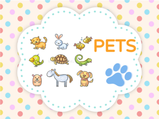 We love pets! by Yolanda Castro Maroto