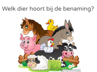 Welk dier hoort bij de benaming? by Shayma Boudou