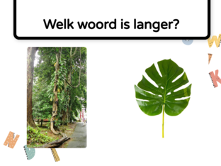 Welk woord is langer, jungle by Amber van den Bergh