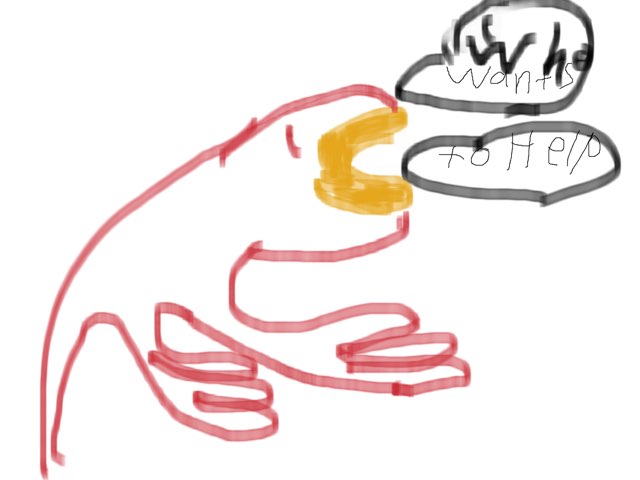 Wh2 Recounting Aidan Casarella by John Nilsen