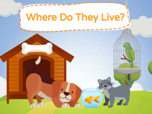 Where Do They Live? by Mónica Denis