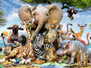 Wild animals by 