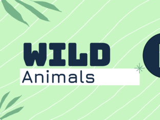 Wild animals shadows by Sandra De la Cruz Díaz