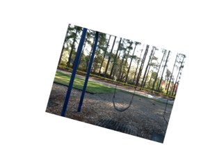 Winston by Mrs Shreve