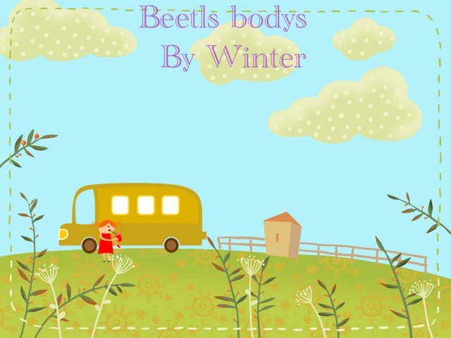 Winter ,s Beetles Project by Stephanie Olson