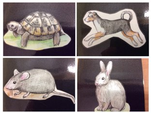 Wo ist die Maus? by Verena Michelt